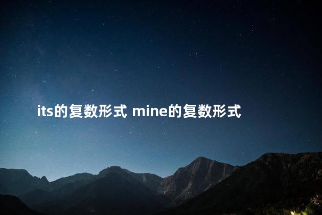 its的复数形式 mine的复数形式怎么写